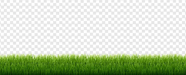 녹색 잔디가 분리 된 투명 한 배경 — 스톡 벡터
