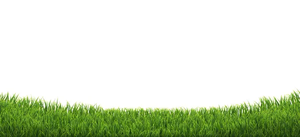 Green Grass Border Isolated White Background Gradient Mesh Vector Illustration — Stock Vector