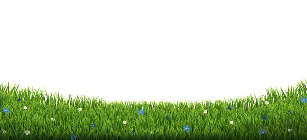 Frontera de hierba verde con flores y sol aislado fondo blanco — Vector de stock