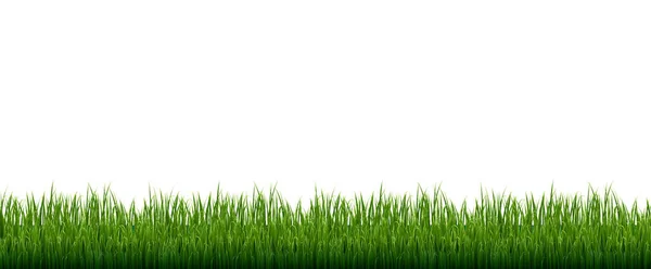 Vert Grass Frame fond blanc — Image vectorielle