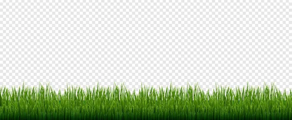 Groen Gras Frame Witte achtergrond — Stockvector