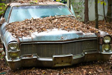 Beyaz, Ga / ABD - October27, 2018 - bir eski hurda Cadillac araba önemsiz Yard leavesl ile kaplı  