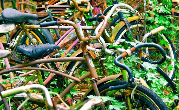 Отвратительные велосипеды — стоковое фото