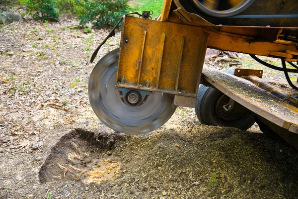 Stump slijpen — Stockfoto