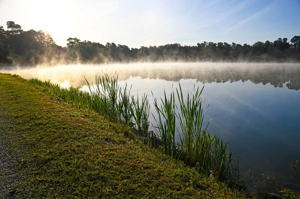 Prima nebbia di Morninng — Foto Stock