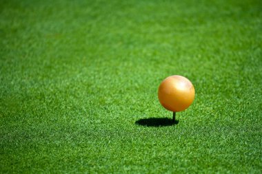 Güneşli bir günde Golf sahasında Altın İşareti Yakından Bakışı. 