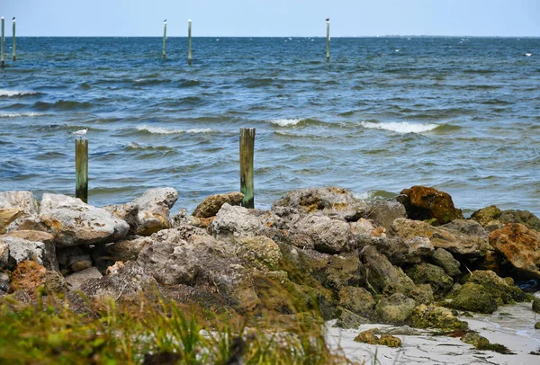 Widok Zatoki Tampa Plaży Wyspie Anna Maria Floryda — Zdjęcie stockowe