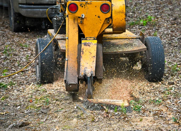 Stump Grinding Machine Removing Stump Cut Tree — Stock Photo, Image