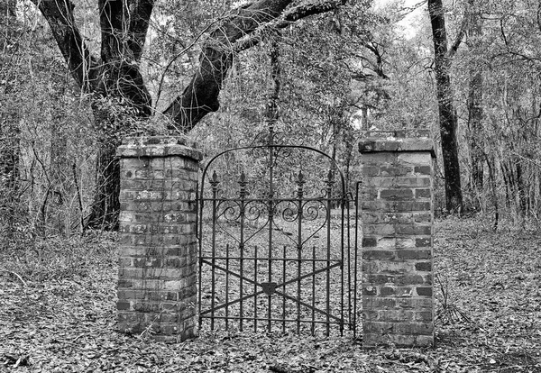 Mysterious Old Iron Gate Middle Woods Leading — Stock Photo, Image