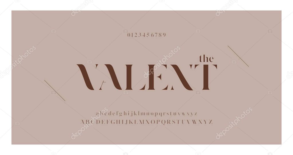 Elegant awesome alphabet letters font and number. Classic Lettering Minimal Fashion Designs. Typography fonts regular uppercase and lowercase. vector illustration