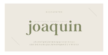Zarif alfabe harfleri serif yazı tipi ve sayı. Klasik Harfler Minimum Moda. Tipografi Lüks yazı tipleri büyük, küçük ve sayılar. vektör illüstrasyonu