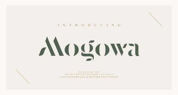 Elegantní Písmo Číslo Abecedy Klasické Písmo Minimální Módní Vzory Typografie — Stockový vektor