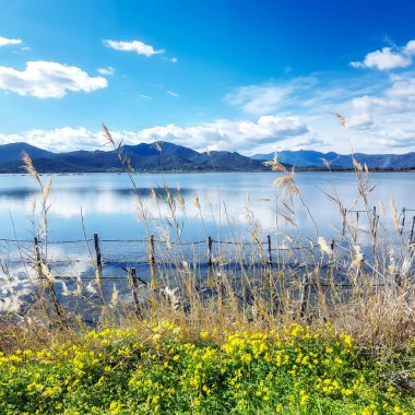 Stagno dei Colostrai, Sardina
