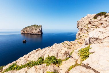 Capo Caccia Kayalıkları, Isola Forada