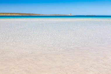 Dream Beach La Pelosa