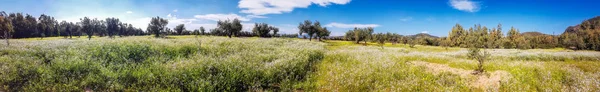 Mediterranes Frühlingspanorama Sardinien — Stockfoto