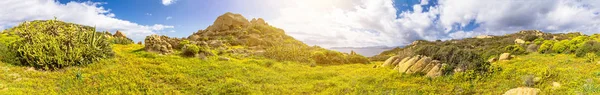 Mediterraner Frühling Durch Sonnenlicht Sardinen — Stockfoto