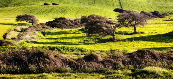 Landscape Iglesiente Sardinia — Stock Photo, Image