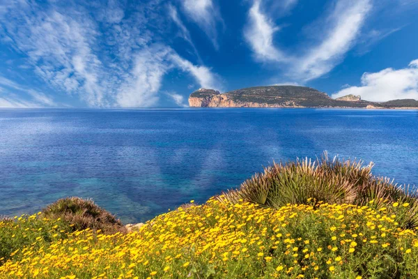 Capo Caccia Panoramisch Uitzicht — Stockfoto