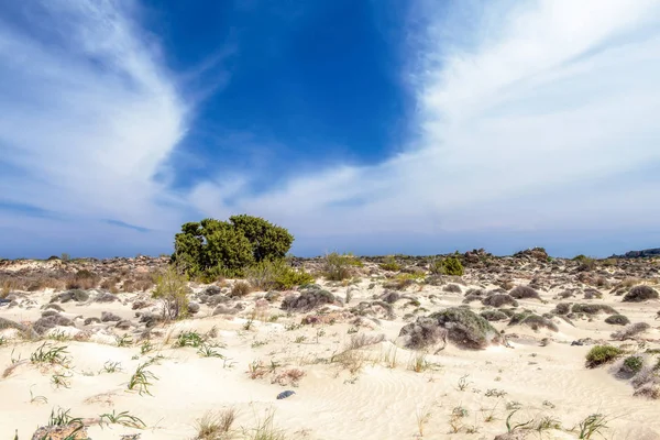 Dunes Elafonisi — Stock Photo, Image