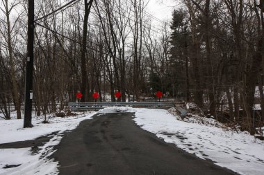 New Jersey'de bir yol ve orman civarı ile park et