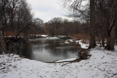 Nehir ve orman civarı ile New Jersey'de park