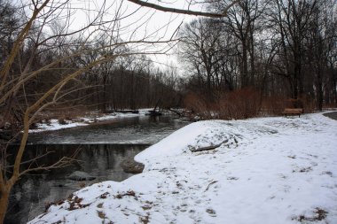 Nehir ve orman civarı ile New Jersey'de park