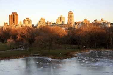 New York'taki Central Park'ta gölde kış