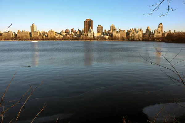 Pond Central Park New York Winter — Stock Photo, Image
