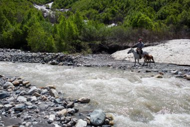 Svaneti, Gürcistan Kafkasya dağlarında bir nehri geçerken at üstündeki adam