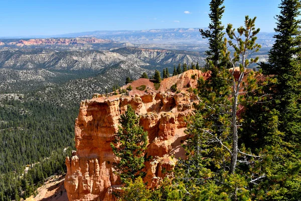 Rainbow Point Parque Nacional Bryce Canyon Utah —  Fotos de Stock