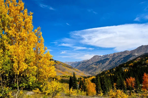 Herbstfarben in colorado — Stockfoto