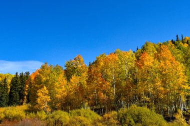 San Juan Skyway, Colorado 'da sonbahar renkleri.