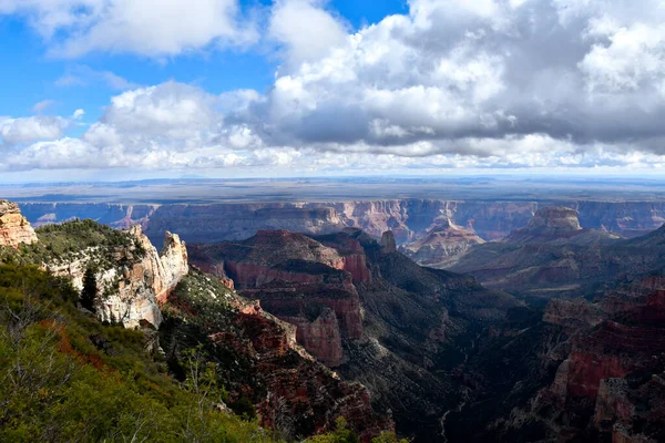 Arizona Daki Büyük Kanyon Kuzey Halkası Manzarası — Stok fotoğraf