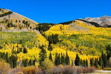 Colorado 'daki San Juan Skyway' de sonbahar renkleri.