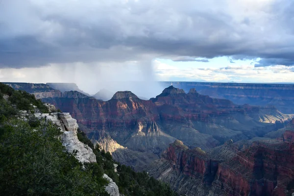 Rain Sower North Rim Grand Canyon Arizona — Stock Photo, Image