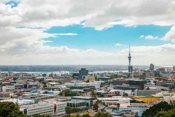 Auckland Uitzicht Vanaf Eden Met Een Persoon Lopen Langs Weg — Stockfoto