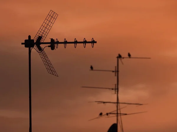 TV-antenner — Stockfoto