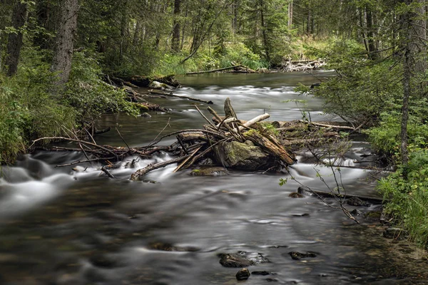 Torrente — Fotografia de Stock