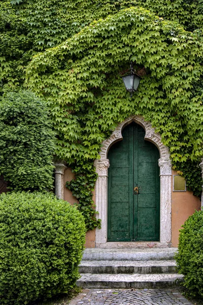 Ivy Covering Ancient Arched Door — Stock Photo, Image