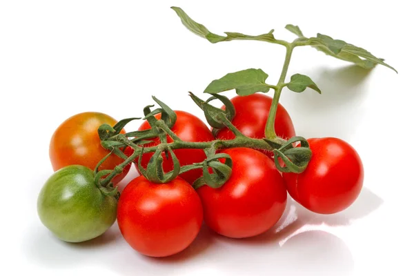 Brush Cherry Tomatoes Isolated White Background — Stock Photo, Image