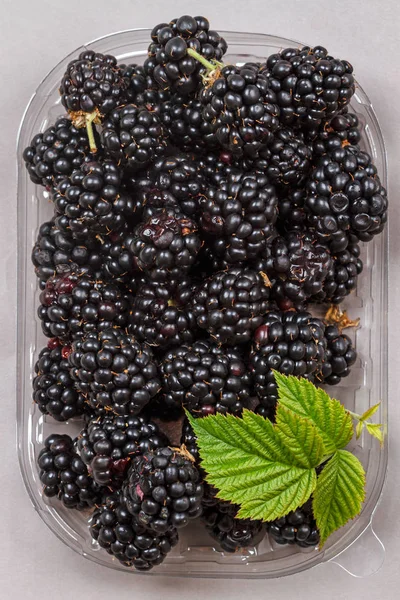 Big Ripe Blackberries Transparent Plate Gray Background — Stock Photo, Image