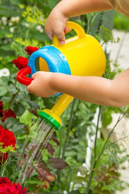 Bir çocuk ile bahçede çiçek sulama sarı bir yalamak