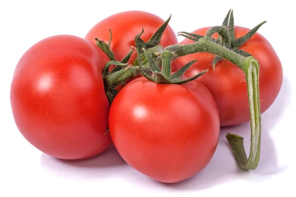 Brush with four tomatoes — Stock Photo, Image
