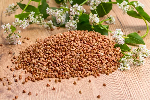 Inflorescencias de plantas y granos de trigo sarraceno —  Fotos de Stock