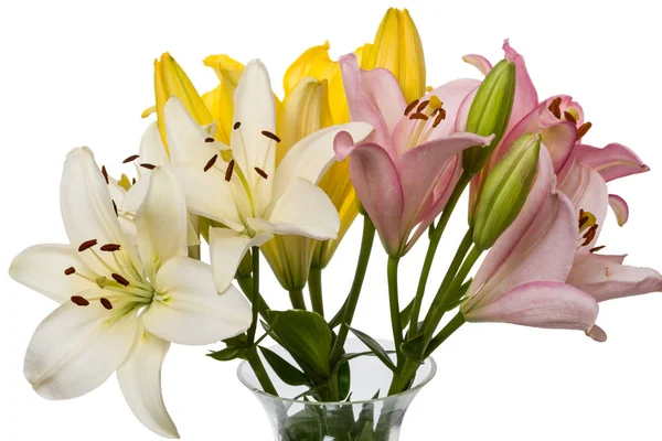 Bouquet of lilies in a vase — Stock Photo, Image