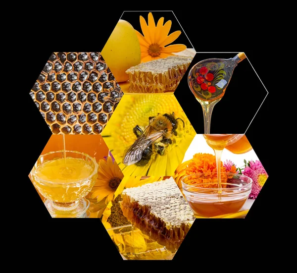 Collage on honey and bee — Stock Photo, Image