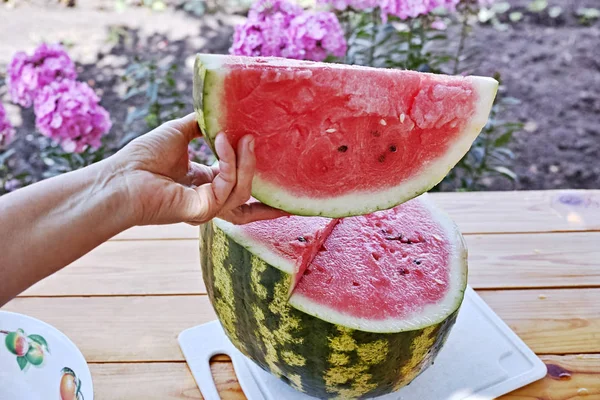 Hand met een stukje watermeloen — Stockfoto