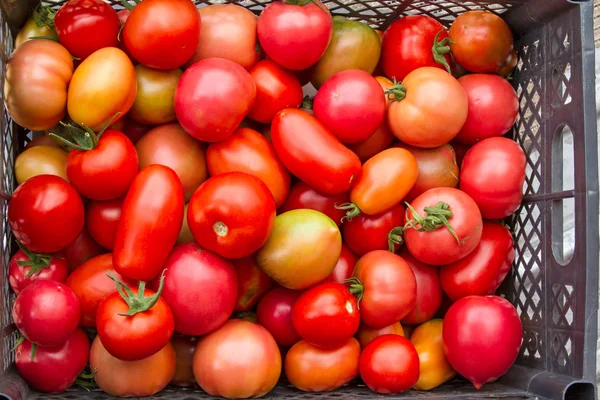 El fondo de los tomates rojos en la caja —  Fotos de Stock
