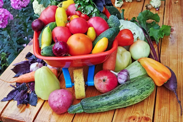 Свежие овощи на столе и в тележке — стоковое фото